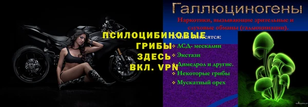 гидра Карталы
