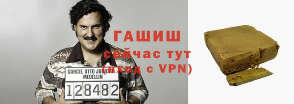 стаф Касимов