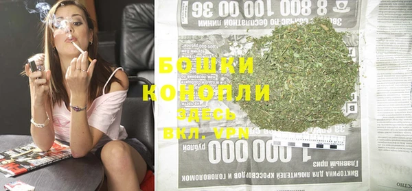стаф Касимов