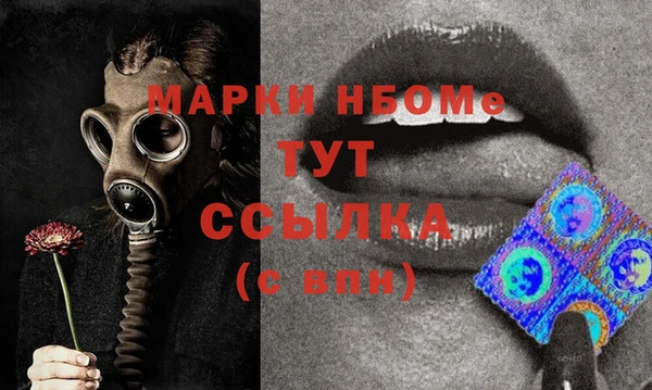 стаф Касимов