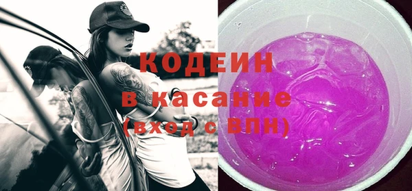 стаф Касимов