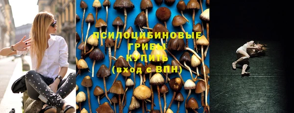 гидра Карталы