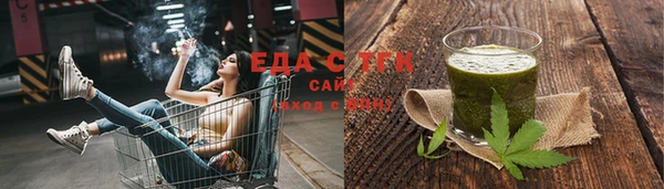 стаф Касимов