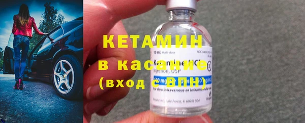 стаф Касимов