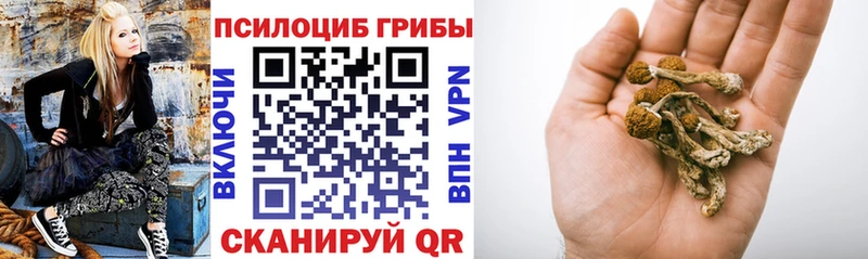 Псилоцибиновые грибы Cubensis  Купить  Волхов 