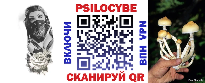Галлюциногенные грибы мицелий Волхов